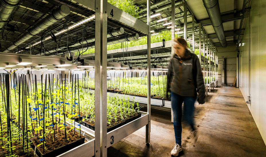 Agricultural investment opportunities in regenerative farming with AI monitoring systems and sustainable practices