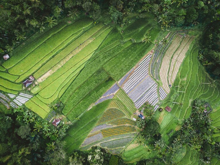 Regenerative agriculture investment opportunities showing precision farming technology and soil carbon sequestration delivering 70-120% profit increases