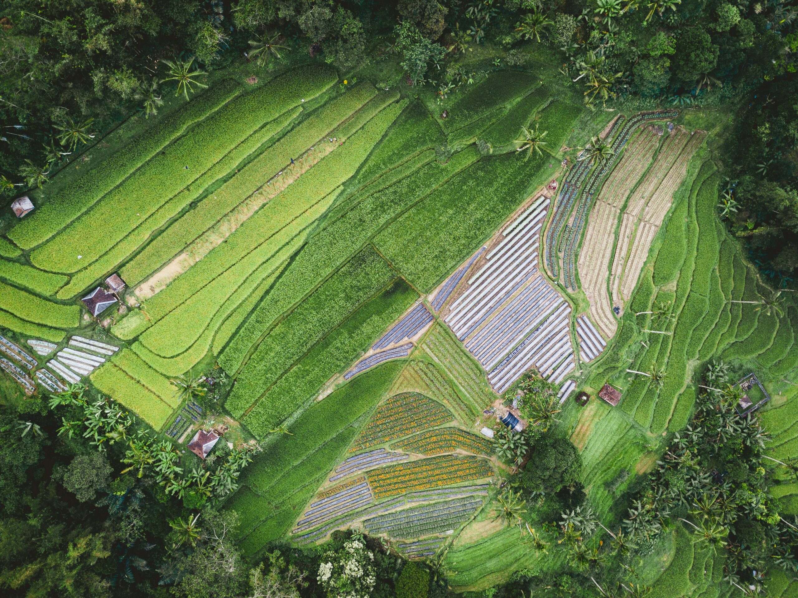 Regenerative agriculture investment opportunities showing precision farming technology and soil carbon sequestration delivering 70-120% profit increases